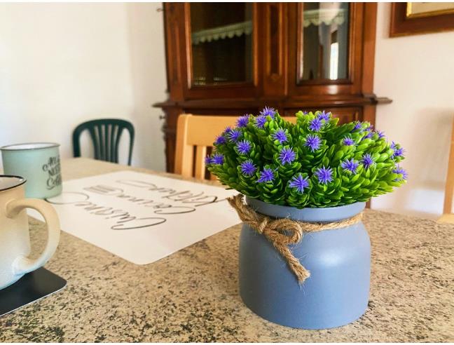 Anteprima foto 4 - Affitto Appartamento Vacanze da Privato a Monteriggioni - Badesse