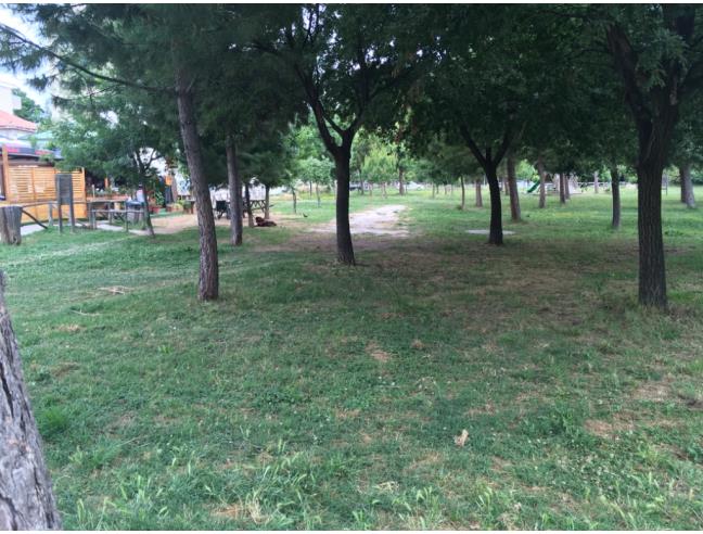 Anteprima foto 2 - Affitto Appartamento Vacanze da Privato a Montesilvano (Pescara)