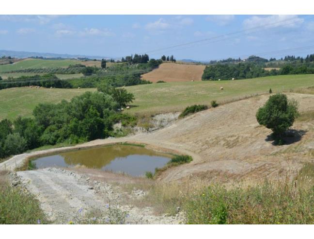 Anteprima foto 5 - Affitto Appartamento Vacanze da Privato a Montespertoli - Ortimino