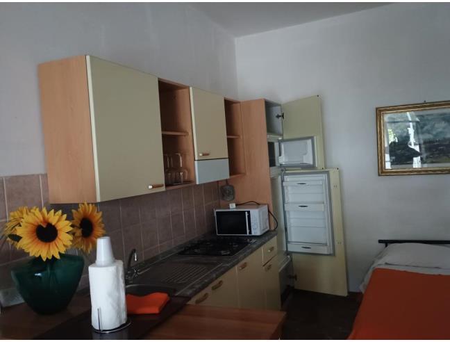 Anteprima foto 6 - Affitto Appartamento Vacanze da Privato a Montespertoli - Ortimino