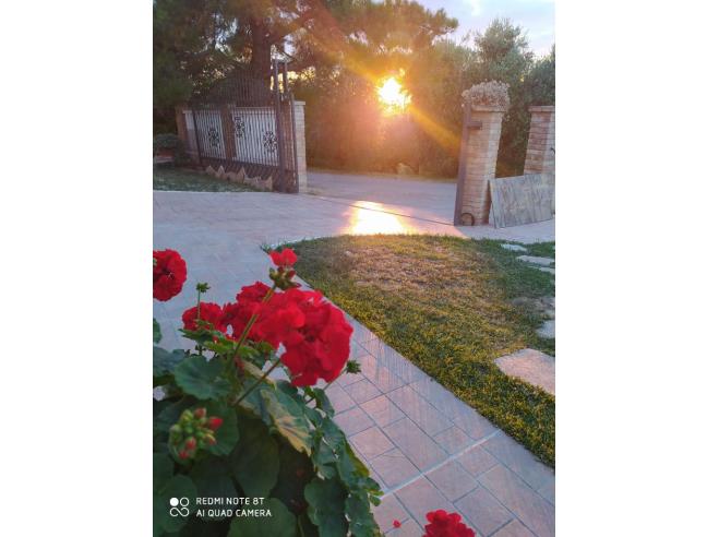 Anteprima foto 5 - Affitto Appartamento Vacanze da Privato a Moscufo - Senarica