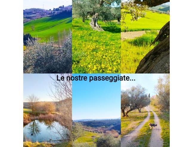 Anteprima foto 8 - Affitto Appartamento Vacanze da Privato a Moscufo - Senarica