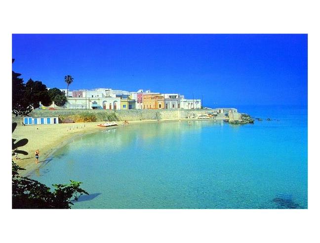 Anteprima foto 1 - Affitto Appartamento Vacanze da Privato a Nardò - Santa Maria Al Bagno