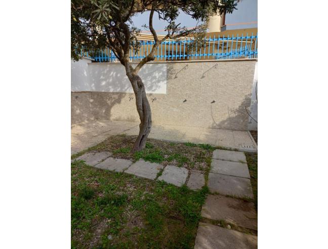 Anteprima foto 6 - Affitto Appartamento Vacanze da Privato a Nettuno - Sandaldi Ponente