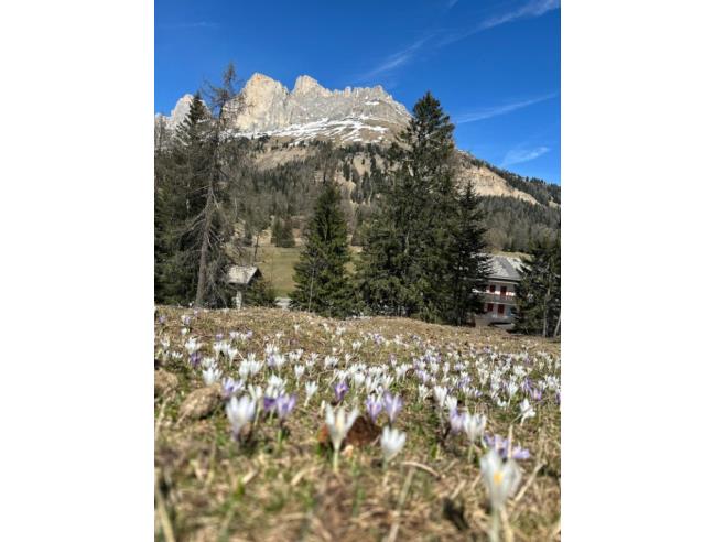 Anteprima foto 3 - Affitto Appartamento Vacanze da Privato a Nova Levante - Carezza Al Lago