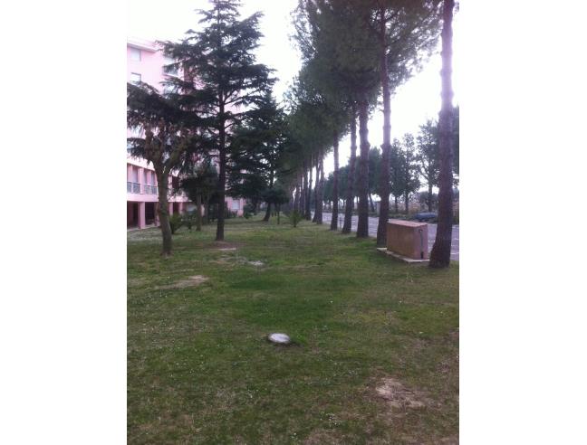 Anteprima foto 4 - Affitto Appartamento Vacanze da Privato a Numana - Marcelli