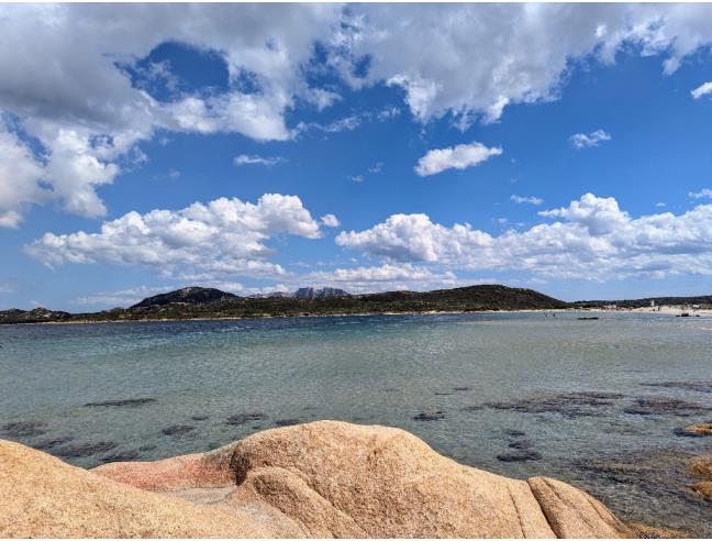 Anteprima foto 2 - Affitto Appartamento Vacanze da Privato a Olbia - Murta Maria