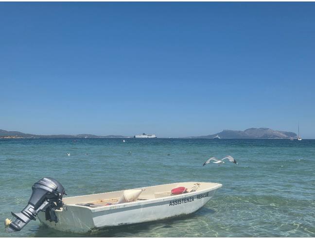 Anteprima foto 4 - Affitto Appartamento Vacanze da Privato a Olbia - Murta Maria