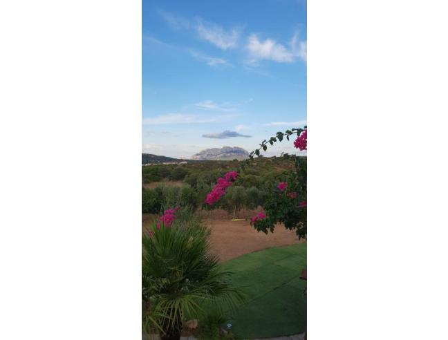 Anteprima foto 5 - Affitto Appartamento Vacanze da Privato a Olbia - Murta Maria