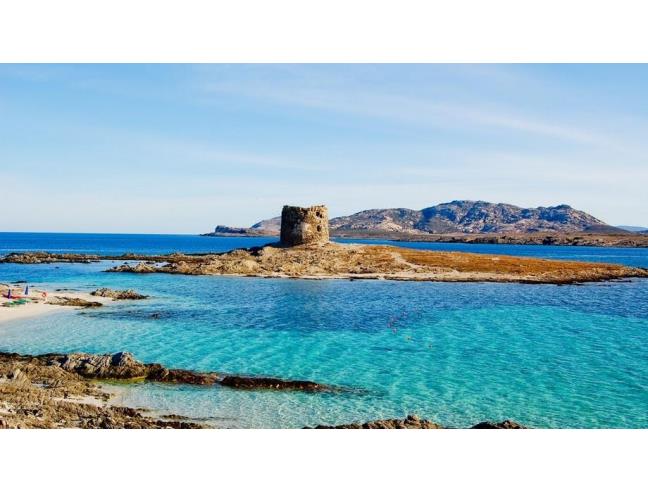 Anteprima foto 2 - Affitto Appartamento Vacanze da Privato a Olbia - Olbia 2