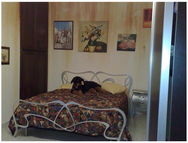Anteprima foto 6 - Affitto Appartamento Vacanze da Privato a Olbia - Pittulongu