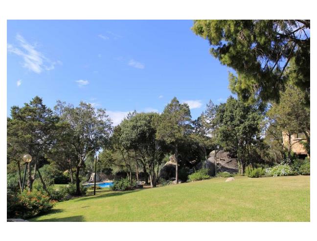 Anteprima foto 4 - Affitto Appartamento Vacanze da Privato a Olbia - Porto Rotondo