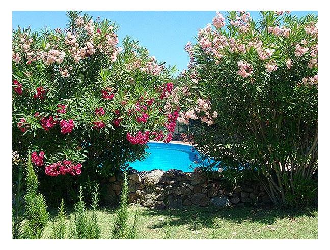 Anteprima foto 6 - Affitto Appartamento Vacanze da Privato a Olbia - Porto Rotondo