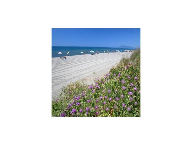 Anteprima foto 2 - Affitto Appartamento Vacanze da Privato a Orbetello (Grosseto)