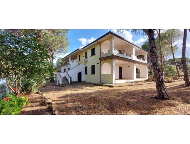 Anteprima foto 3 - Affitto Appartamento Vacanze da Privato a Orosei - Cala Liberotto