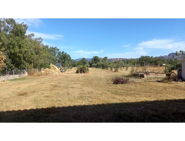 Anteprima foto 8 - Affitto Appartamento Vacanze da Privato a Orosei - Cala Liberotto