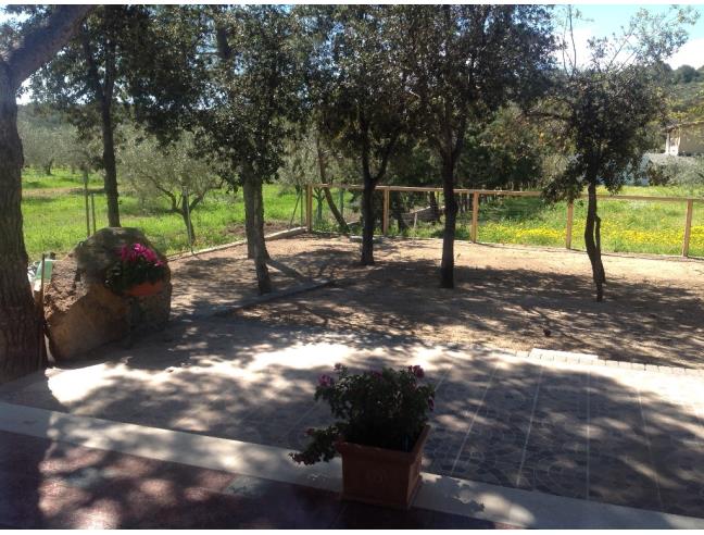 Anteprima foto 6 - Affitto Appartamento Vacanze da Privato a Orosei - Sos Alinos