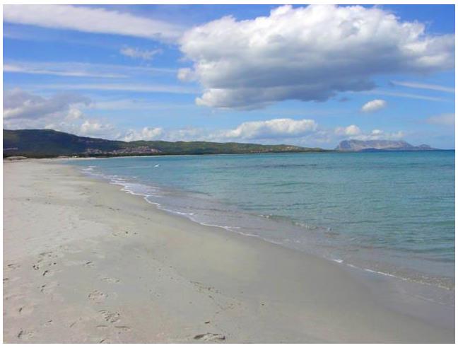 Anteprima foto 7 - Affitto Appartamento Vacanze da Privato a Orosei - Sos Alinos