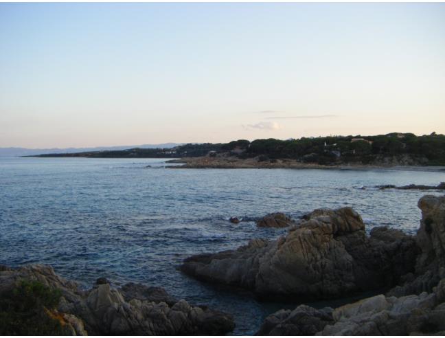 Anteprima foto 8 - Affitto Appartamento Vacanze da Privato a Orosei - Sos Alinos