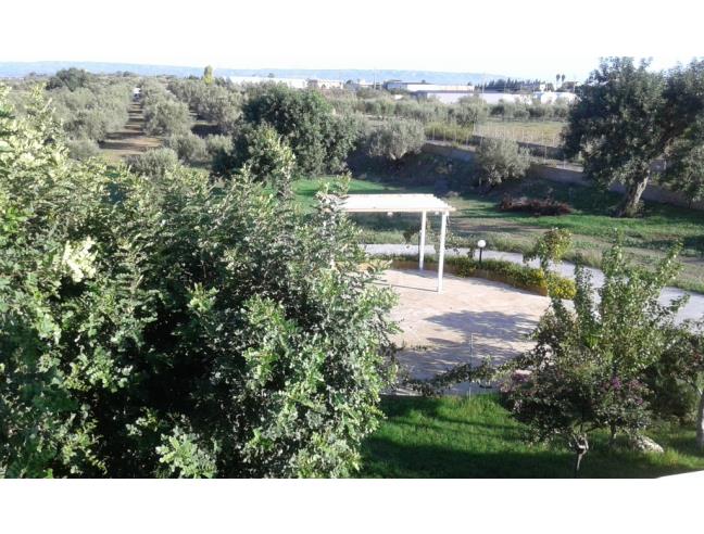 Anteprima foto 3 - Affitto Appartamento Vacanze da Privato a Pachino - Marzamemi