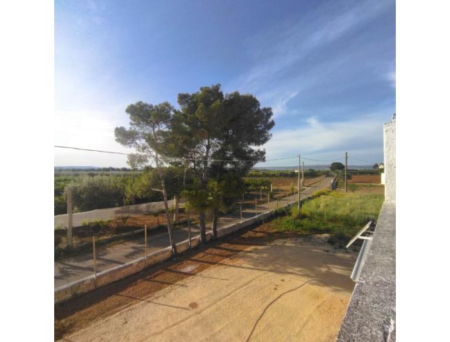 Anteprima foto 3 - Affitto Appartamento Vacanze da Privato a Palagiano (Taranto)