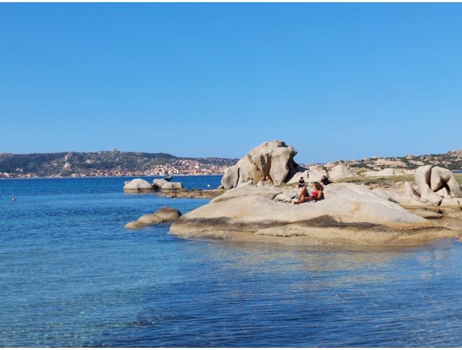 Anteprima foto 1 - Affitto Appartamento Vacanze da Privato a Palau (Olbia-Tempio)