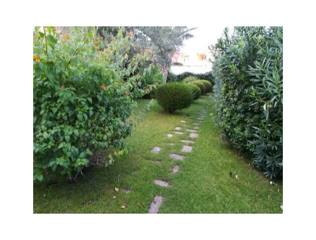 Anteprima foto 7 - Affitto Appartamento Vacanze da Privato a Palau (Sassari)