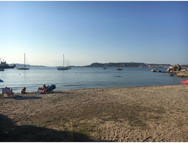 Anteprima foto 8 - Affitto Appartamento Vacanze da Privato a Palau (Sassari)