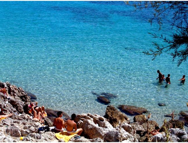 Anteprima foto 2 - Affitto Appartamento Vacanze da Privato a Palermo - Mondello