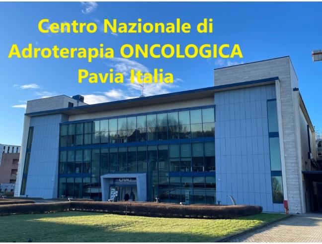 Anteprima foto 7 - Affitto Appartamento Vacanze da Privato a Pavia - Centro città