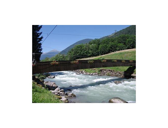 Anteprima foto 7 - Affitto Appartamento Vacanze da Privato a Peio (Trento)