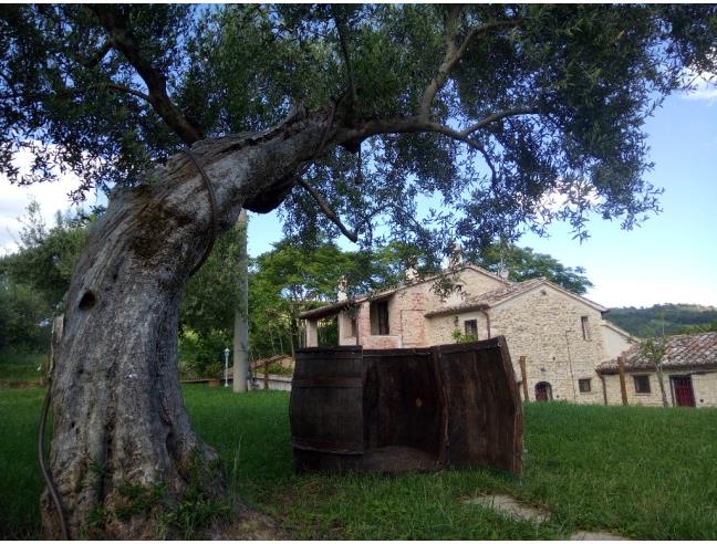 Anteprima foto 2 - Affitto Appartamento Vacanze da Privato a Perugia - Solfagnano