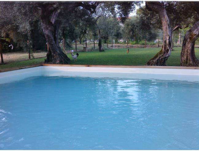 Anteprima foto 3 - Affitto Appartamento Vacanze da Privato a Perugia - Solfagnano
