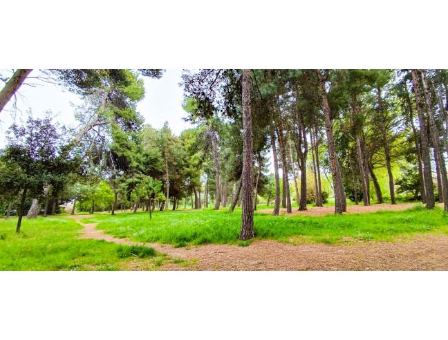 Anteprima foto 3 - Affitto Appartamento Vacanze da Privato a Pescara (Pescara)