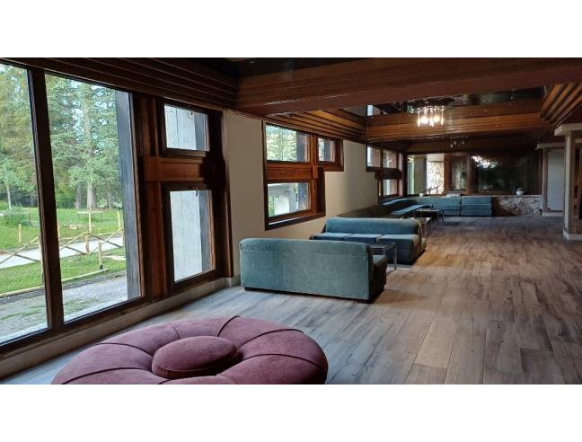 Anteprima foto 2 - Affitto Appartamento Vacanze da Privato a Pescasseroli (L'Aquila)