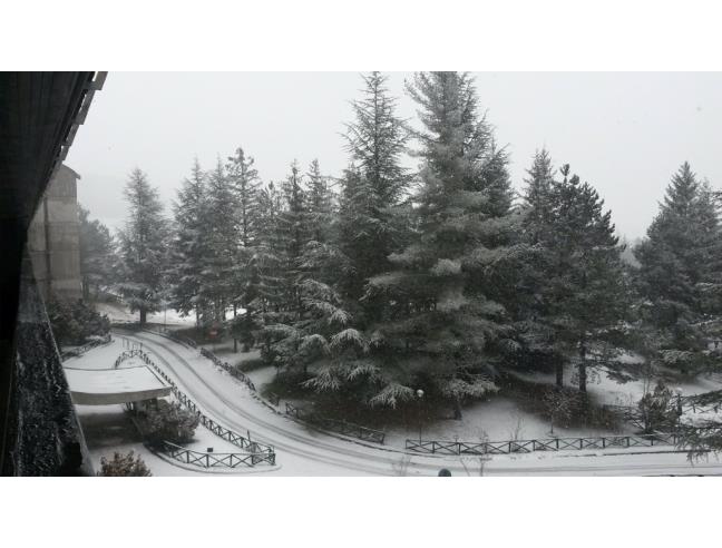 Anteprima foto 7 - Affitto Appartamento Vacanze da Privato a Pescasseroli (L'Aquila)