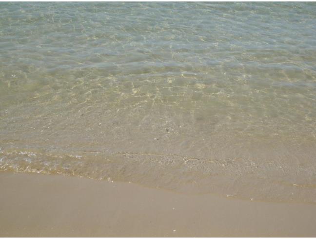 Anteprima foto 2 - Affitto Appartamento Vacanze da Privato a Peschici (Foggia)