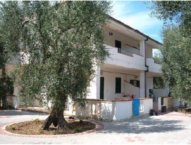Anteprima foto 2 - Affitto Appartamento Vacanze da Privato a Peschici (Foggia)