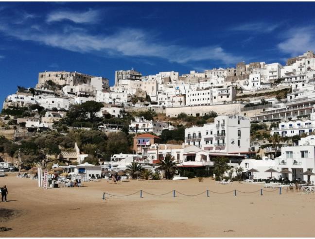 Anteprima foto 3 - Affitto Appartamento Vacanze da Privato a Peschici (Foggia)