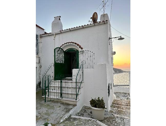 Anteprima foto 4 - Affitto Appartamento Vacanze da Privato a Peschici (Foggia)