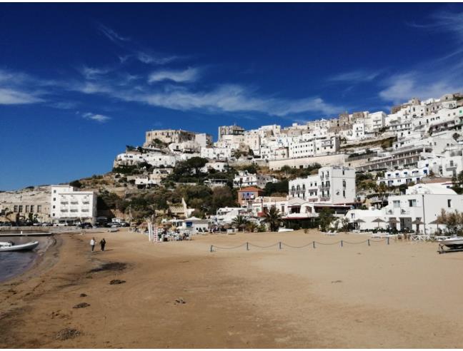 Anteprima foto 4 - Affitto Appartamento Vacanze da Privato a Peschici (Foggia)