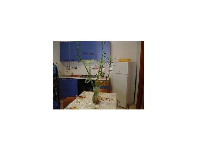 Anteprima foto 6 - Affitto Appartamento Vacanze da Privato a Peschici (Foggia)