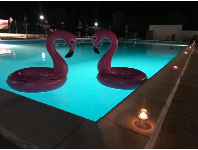 Anteprima foto 7 - Affitto Appartamento Vacanze da Privato a Peschici (Foggia)