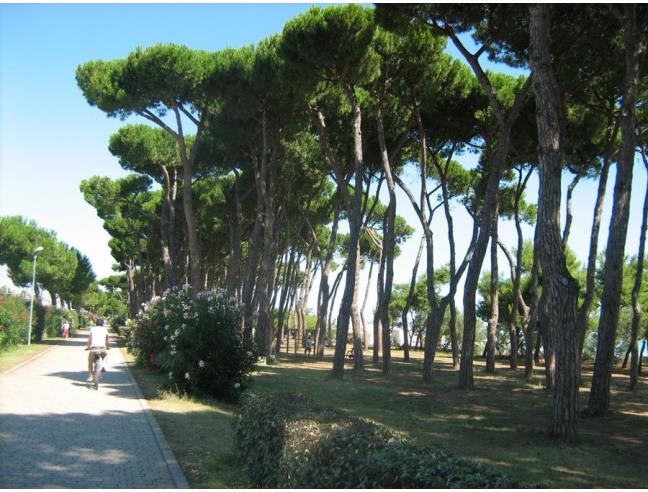 Anteprima foto 7 - Affitto Appartamento Vacanze da Privato a Pineto (Teramo)