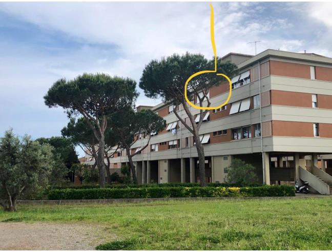 Anteprima foto 5 - Affitto Appartamento Vacanze da Privato a Piombino (Livorno)