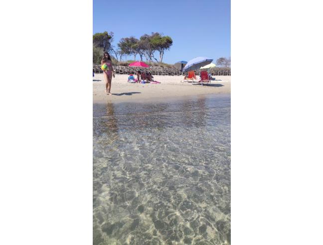 Anteprima foto 7 - Affitto Appartamento Vacanze da Privato a Piombino (Livorno)
