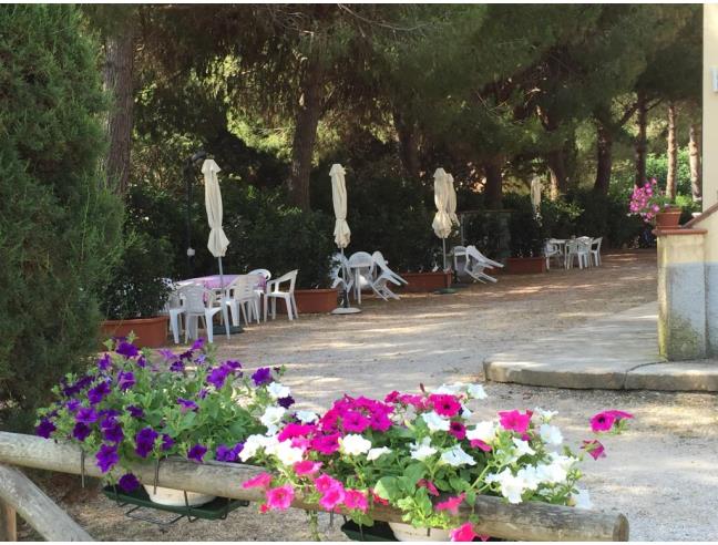 Anteprima foto 5 - Affitto Appartamento Vacanze da Privato a Piombino - Stazione Di Populonia