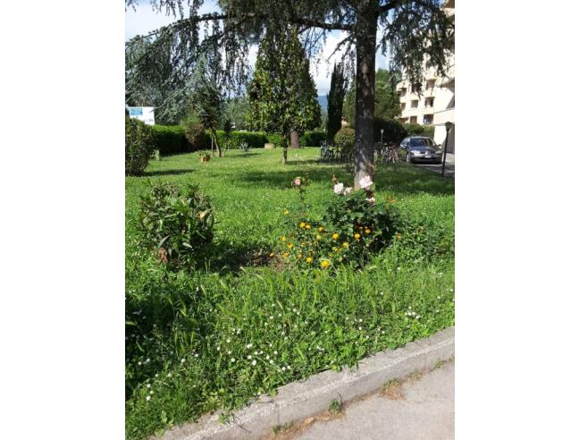 Anteprima foto 2 - Affitto Appartamento Vacanze da Privato a Pisa - Pisanova