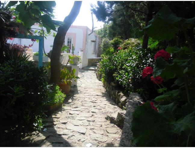 Anteprima foto 1 - Affitto Appartamento Vacanze da Privato a Ponza - Le Forna