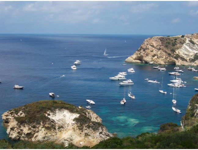 Anteprima foto 1 - Affitto Appartamento Vacanze da Privato a Ponza - Le Forna